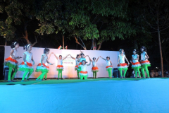 AnnualFunction_5